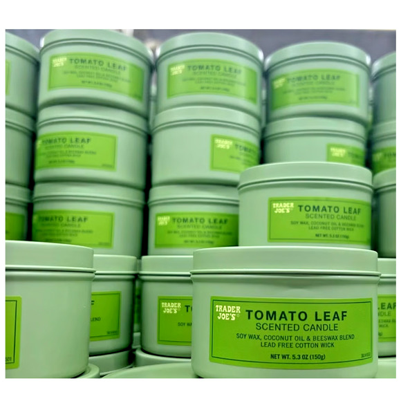 10-PACK TOMATO LEAF SCENTED CANDLE FROM TRADER JOES / NEW IN BOX - Picture 2 of 4